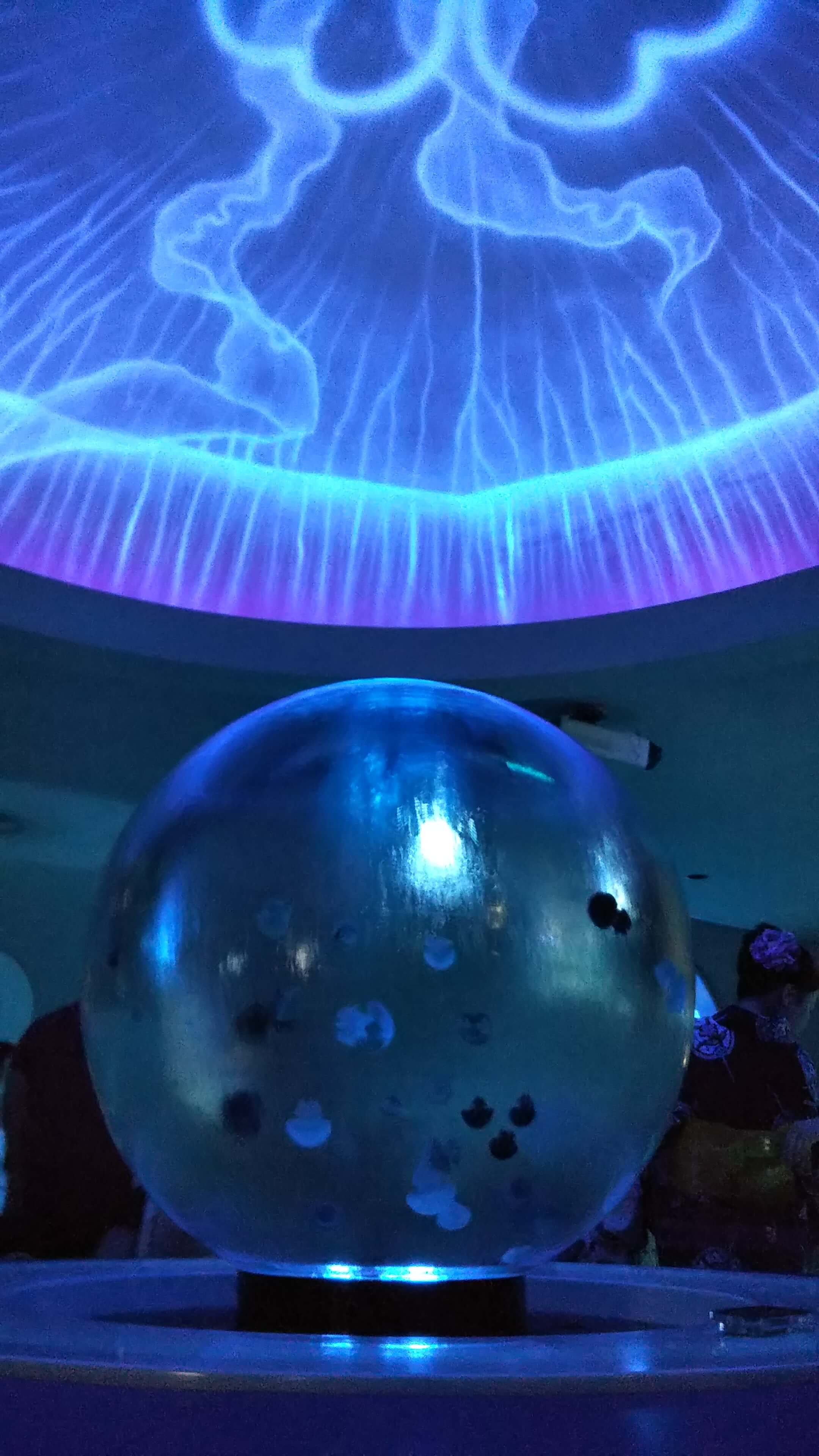 山梨県 から 神奈川県 へ 日帰りで二県攻めてみました 新江ノ島水族館でイルカショーと魚鑑賞からの花火 ぼくのまちまで 山梨県 から 神奈川県 へ 日帰りで二県攻めてみました 新江ノ島水族館でイルカショーと魚鑑賞からの花火 ぼくのまちまで